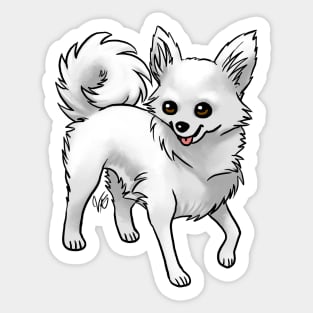 Dog - Chihuahua - Long Haired - White Sticker